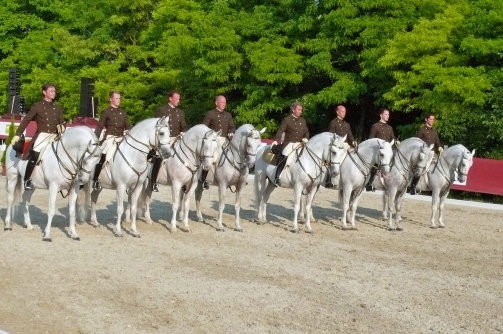 Radetzkys berühmte Nachbarn - Die Lipizzaner am Heldenberg