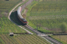 Aufgetischt in der Wachau