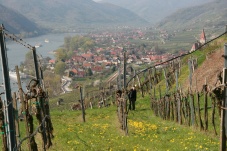 Aufgetischt in der Wachau